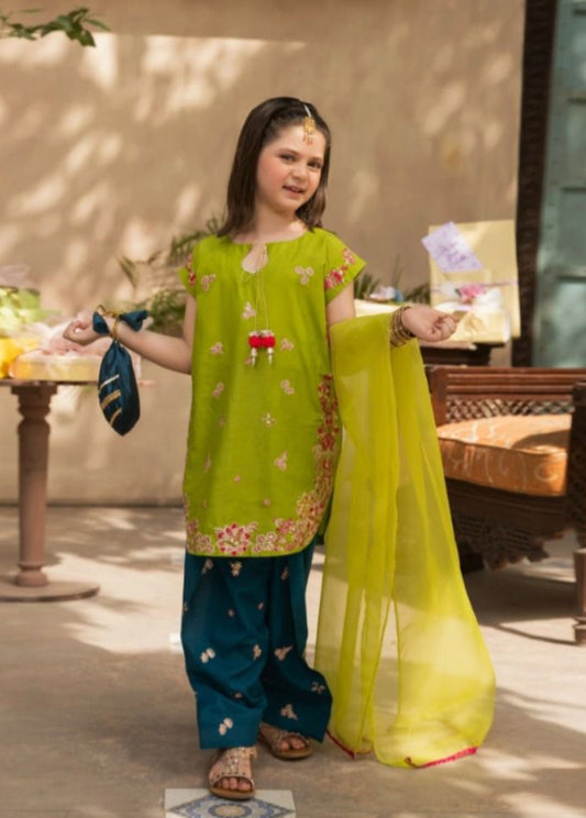Kids Embroidered Lawn 3-Piece Suit – Summer Collection D-12