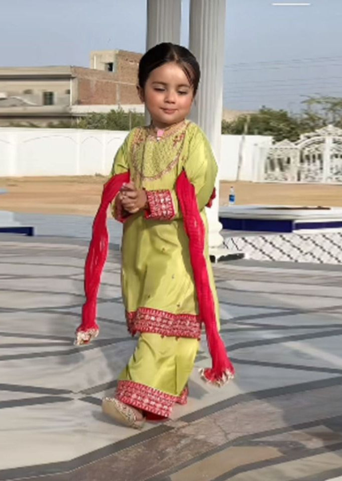 Kids Embroidered Lawn 3-Piece Suit – Summer Collection D-18